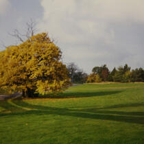 The grounds before nemesis construction began, just besides the car park.